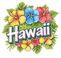 Hawaii icon